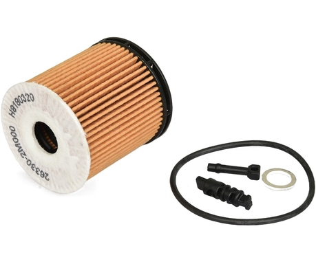 OE 263002M000 Filter Minyak untuk FOR MAN HYUNDAI BEIJING KIA 2019- dari dalam Paket Netral